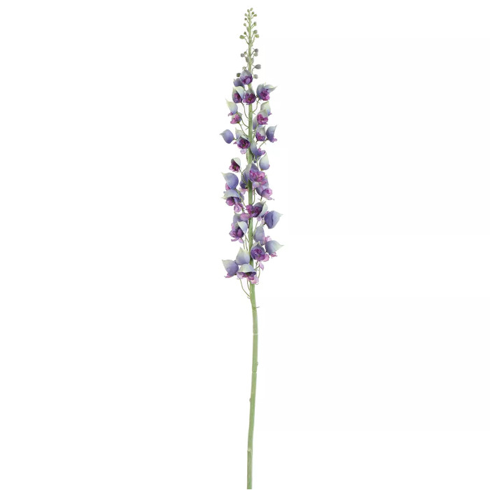 Monkshood