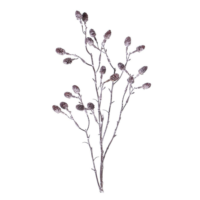Alders