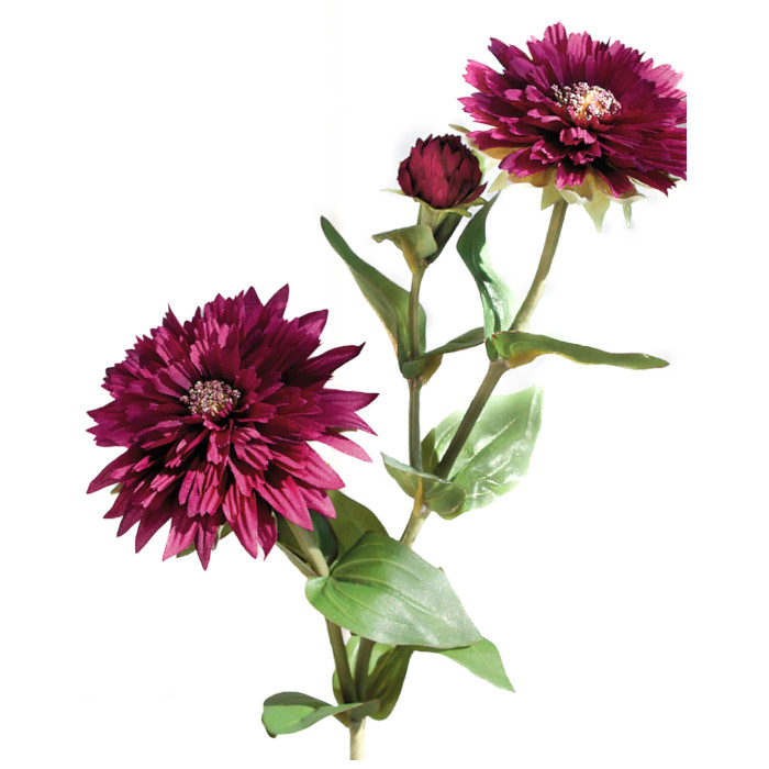 Treasure flower