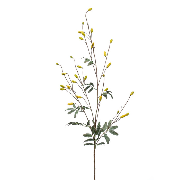 Goji berries
