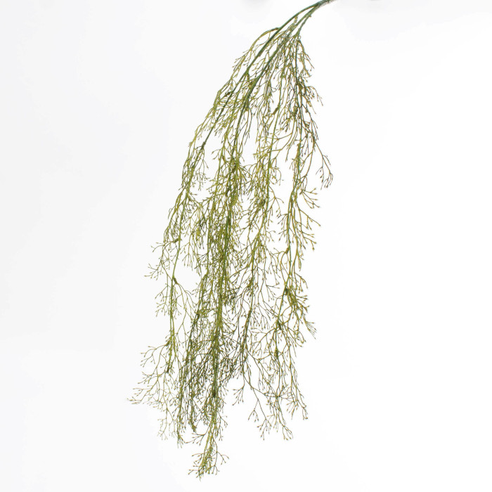 Trailing bamboo