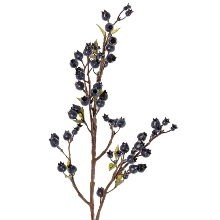 Blueberries