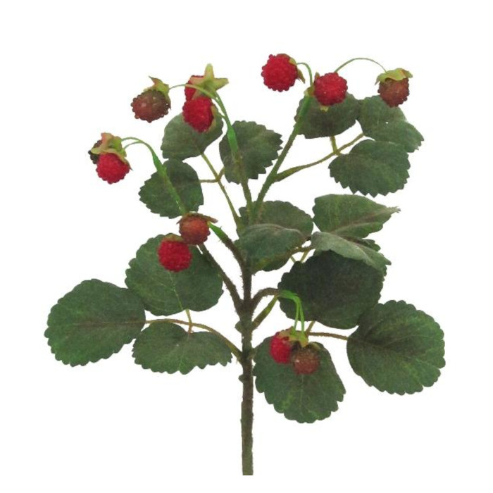 Raspberries