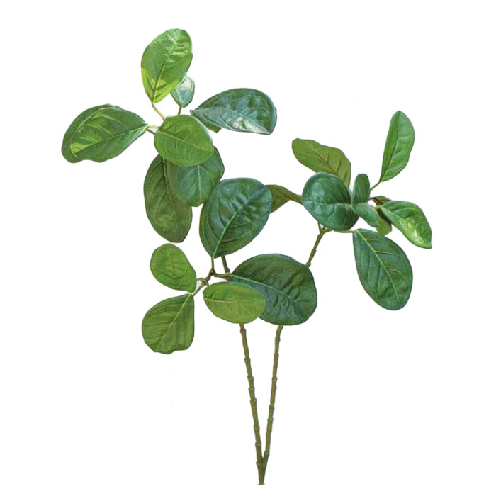 Jack tree