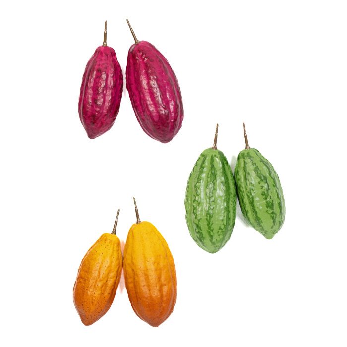Cacao fruit