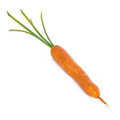 Carrot