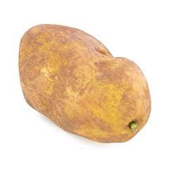Potato