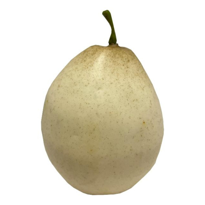 Nashi pear