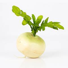 Radishes