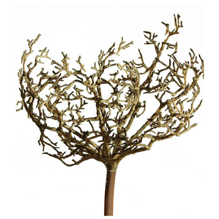 Tumbleweed