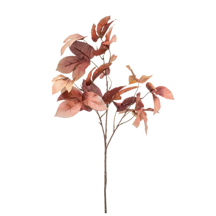 Southern catalpa