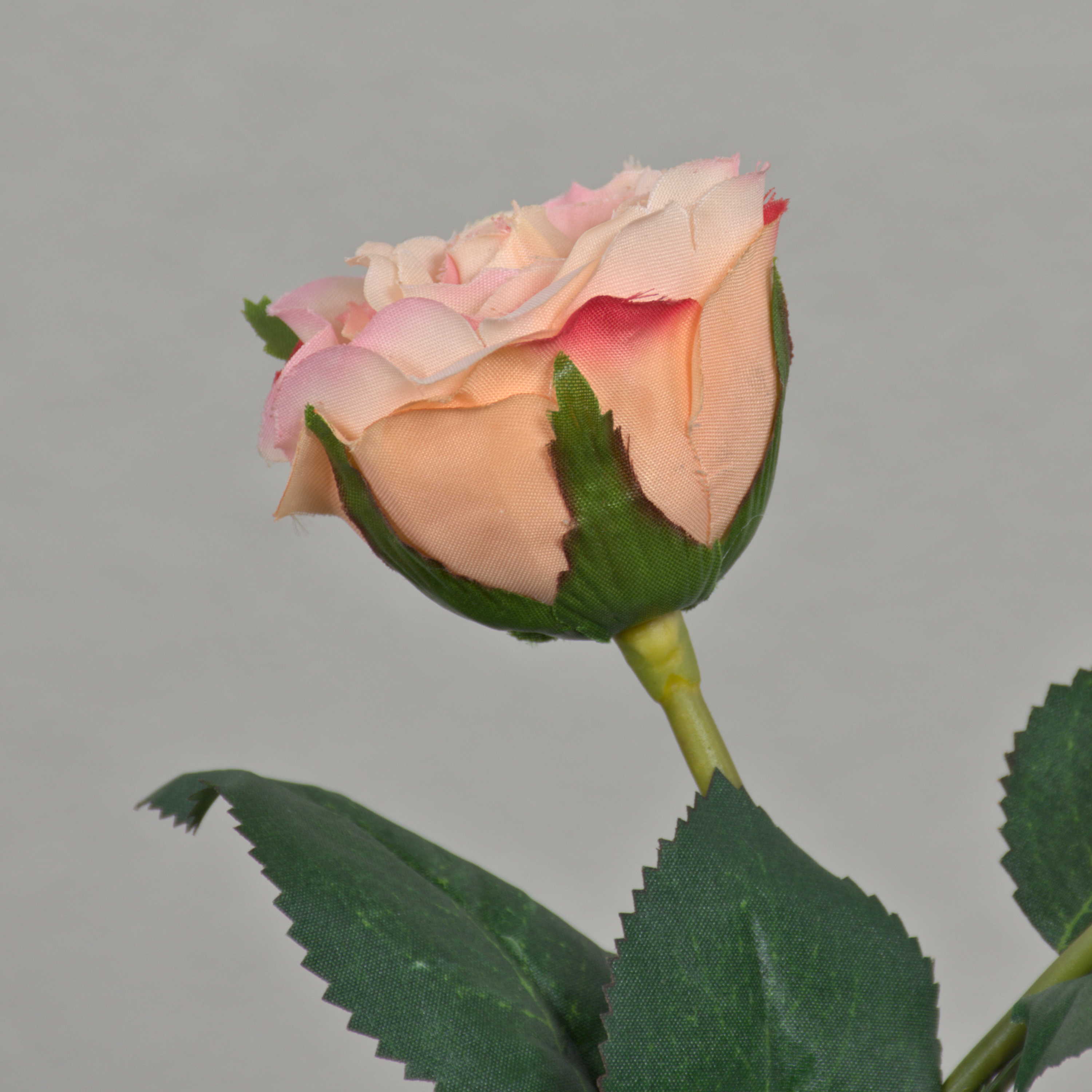 Rosa albicocca bianco crema, fiore di seta, rose artificiali L72cm 12cm