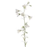 Artificial bellflower GISELA, white, 26"/65cm, Ø2"/5cm