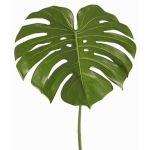 Artificial Monstera leaf THALWIL, 24"/60cm
