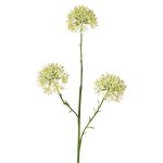Decorative Allium branch ALIKIO, white, 65cm, Ø7cm