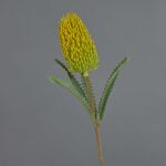 Artificial Banksia robur EREDIN, yellow, 28"/70cm