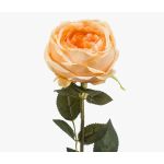 False rose THYRI, peach, 26"/65cm