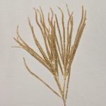 Artificial cedar branch THEOBALD, glitter, gold, 24"/60cm