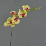 Fake sprig of orchid DAJANA, yellow-fuchsia, 31"/80cm, Ø2.4"-4.3"/6-11cm