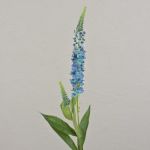 Artificial flower veronica LORETA, light blue, 30"/75cm
