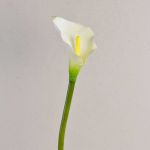Silk calla SUSANA, white, 28"/70cm, 3.1"x4.7"/8x12cm