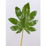 Artificial aralia leaf SALVATORE, green, 28"/70cm