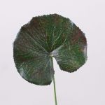 Artificial Geranium Leaf HEIDEGARD, green-red, 15"/38cm, Ø4.3"/11cm