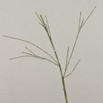 Artificial bamboo branch HARUTO, 3ft/105cm