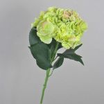 False hydrangea ANGELINA, cream-green, 28"/70cm, Ø9"/23cm