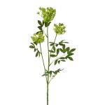 Artificial wild carrot branch TOLHER, green, 33"/85cm