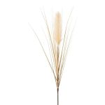 Artificial pampas grass panicule WALNIN, beige, 3ft/100cm