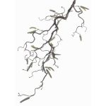 Artificial Hazelnut spray XANCHO, with catkins, brown, 26"/65cm, Ø0.2"/0.5cm