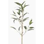 False eucalyptus branch JURKA with fruits, green-grey, 3ft/90cm
