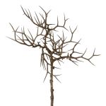 Artificial branch Christ's thorn SPROLI, brown, 18"/45cm