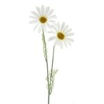 Decorative marguerite SOPY, white, 22"/55cm