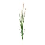 Decorative branch Pennisetum RILVO, panicles, cream-pink, 3ft/90cm