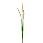 Decorative branch Pennisetum RILVO, panicles, green-pink, 3ft/90cm