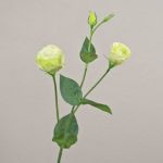Artificial branch Lisianthus RINARA, cream-green, 26"/65cm
