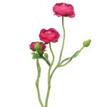 Artificial ranunculus branch JIXIANG, pink, 20"/50cm