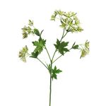 Artificial Euphorbia marginata branch MENGWEN, flowers, cream-green, 26"/65cm
