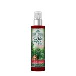 Scentsicles® Duftspray, Wintertanne