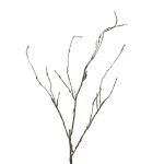 Artificial willow branch LIFEN, brown, 3ft/95cm