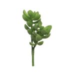 Artificial money tree MUNING, spike, green, 5.5"/14cm