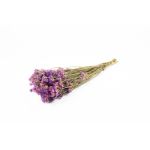 Dried sea lavender BRINJA, bouquet, purple, 20"-26"/50-65cm, Ø7"/18cm