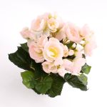 Silk begonia IVANA on spike, pink-white, 8"/20cm, Ø1.2"-2"/3-5cm