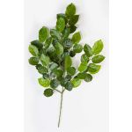 Artificial Beech spray ERICK, green, 30"/75cm