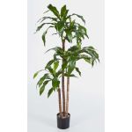 Artificial Dracaena Fragrans LAURA, real stems, green, 4ft/120cm