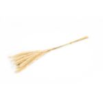 Dried pampas grass ANAHITA, natural, 24"/60cm, Ø3.1"/8cm