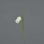 Artificial campanula LUXING, white, 16"/40cm