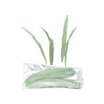 Artificial reed grass YAMIAN, 36 pieces, green-white, 6"/15cm